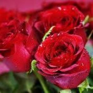 Meet your Posher, Mariam